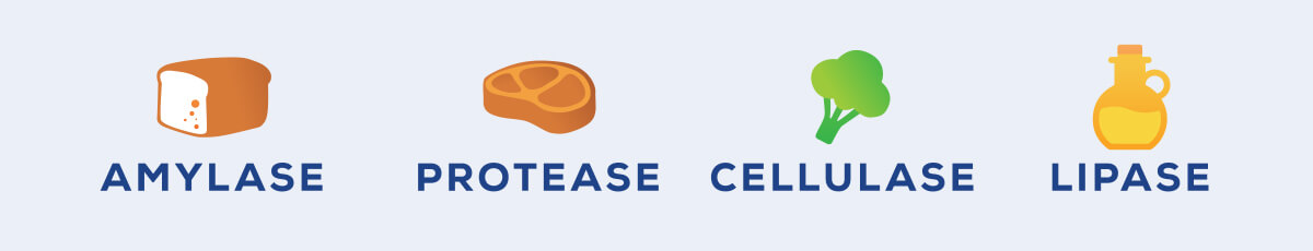 Order Now Banner - Banner